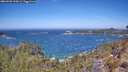 ./images/calvert/foggy-cove/20260502/foggy-cove20260502_120001M.jpg