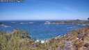 ./images/calvert/foggy-cove/20260502/foggy-cove20260502_121002M.jpg