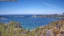./images/calvert/foggy-cove/20260502/foggy-cove20260502_121501M.jpg