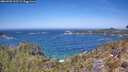 ./images/calvert/foggy-cove/20260502/foggy-cove20260502_122501M.jpg