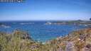 ./images/calvert/foggy-cove/20260502/foggy-cove20260502_123002M.jpg