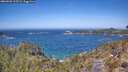 ./images/calvert/foggy-cove/20260502/foggy-cove20260502_123501M.jpg