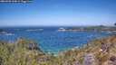 ./images/calvert/foggy-cove/20260502/foggy-cove20260502_124001M.jpg