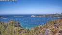 ./images/calvert/foggy-cove/20260502/foggy-cove20260502_124501M.jpg