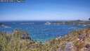 ./images/calvert/foggy-cove/20260502/foggy-cove20260502_125002M.jpg