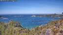 ./images/calvert/foggy-cove/20260502/foggy-cove20260502_125501M.jpg