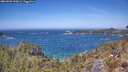 ./images/calvert/foggy-cove/20260502/foggy-cove20260502_130001M.jpg