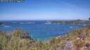 ./images/calvert/foggy-cove/20260502/foggy-cove20260502_130502M.jpg