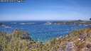 ./images/calvert/foggy-cove/20260502/foggy-cove20260502_131002M.jpg