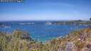 ./images/calvert/foggy-cove/20260502/foggy-cove20260502_131501M.jpg