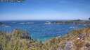 ./images/calvert/foggy-cove/20260502/foggy-cove20260502_132001M.jpg