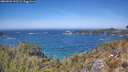 ./images/calvert/foggy-cove/20260502/foggy-cove20260502_132501M.jpg