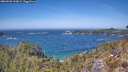 ./images/calvert/foggy-cove/20260502/foggy-cove20260502_133001M.jpg
