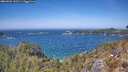 ./images/calvert/foggy-cove/20260502/foggy-cove20260502_133501M.jpg