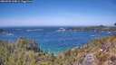 ./images/calvert/foggy-cove/20260502/foggy-cove20260502_134001M.jpg