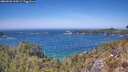 ./images/calvert/foggy-cove/20260502/foggy-cove20260502_134501M.jpg