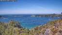 ./images/calvert/foggy-cove/20260502/foggy-cove20260502_135001M.jpg