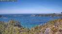 ./images/calvert/foggy-cove/20260502/foggy-cove20260502_135501M.jpg