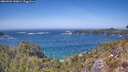 ./images/calvert/foggy-cove/20260502/foggy-cove20260502_140001M.jpg