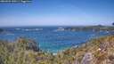 ./images/calvert/foggy-cove/20260502/foggy-cove20260502_140501M.jpg