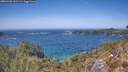 ./images/calvert/foggy-cove/20260502/foggy-cove20260502_141501M.jpg