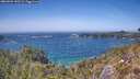 ./images/calvert/foggy-cove/20260502/foggy-cove20260502_142502M.jpg