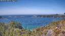 ./images/calvert/foggy-cove/20260502/foggy-cove20260502_143001M.jpg