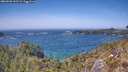 ./images/calvert/foggy-cove/20260502/foggy-cove20260502_143501M.jpg