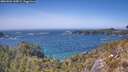 ./images/calvert/foggy-cove/20260502/foggy-cove20260502_145001M.jpg