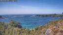 ./images/calvert/foggy-cove/20260502/foggy-cove20260502_150001M.jpg