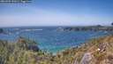 ./images/calvert/foggy-cove/20260502/foggy-cove20260502_151001M.jpg