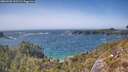 ./images/calvert/foggy-cove/20260502/foggy-cove20260502_153501M.jpg