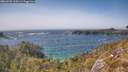 ./images/calvert/foggy-cove/20260502/foggy-cove20260502_154501M.jpg