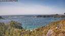 ./images/calvert/foggy-cove/20260502/foggy-cove20260502_155001M.jpg