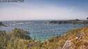 ./images/calvert/foggy-cove/20260502/foggy-cove20260502_155501M.jpg