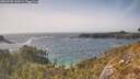 ./images/calvert/foggy-cove/20260502/foggy-cove20260502_164501M.jpg