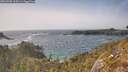 ./images/calvert/foggy-cove/20260502/foggy-cove20260502_165501M.jpg