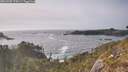 ./images/calvert/foggy-cove/20260502/foggy-cove20260502_174501M.jpg