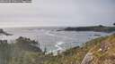 ./images/calvert/foggy-cove/20260502/foggy-cove20260502_175001M.jpg