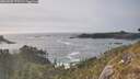 ./images/calvert/foggy-cove/20260502/foggy-cove20260502_175501M.jpg
