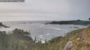 ./images/calvert/foggy-cove/20260502/foggy-cove20260502_181002M.jpg