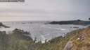 ./images/calvert/foggy-cove/20260502/foggy-cove20260502_181501M.jpg