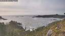 ./images/calvert/foggy-cove/20260502/foggy-cove20260502_183501M.jpg