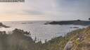 ./images/calvert/foggy-cove/20260502/foggy-cove20260502_192001M.jpg