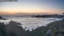 ./images/calvert/foggy-cove/20260502/foggy-cove20260502_211501M.jpg