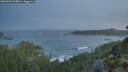 ./images/calvert/foggy-cove/20260503/foggy-cove20260503_054001M.jpg