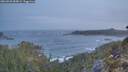 ./images/calvert/foggy-cove/20260503/foggy-cove20260503_055001M.jpg