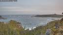 ./images/calvert/foggy-cove/20260503/foggy-cove20260503_060501M.jpg