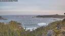 ./images/calvert/foggy-cove/20260503/foggy-cove20260503_061501M.jpg