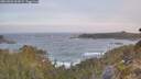 ./images/calvert/foggy-cove/20260503/foggy-cove20260503_062001M.jpg